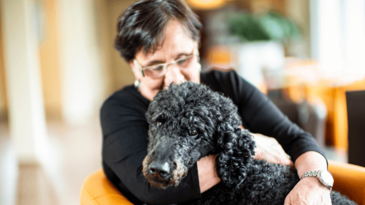 Patientenhund