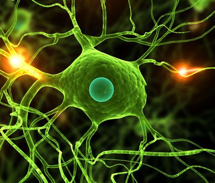Tiefe Hirnstimulation: Hirnschrittmacher