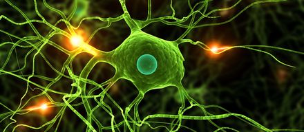 Aktive Nervenzelle Tiefe Hirnstimulation: Hirnschrittmacher