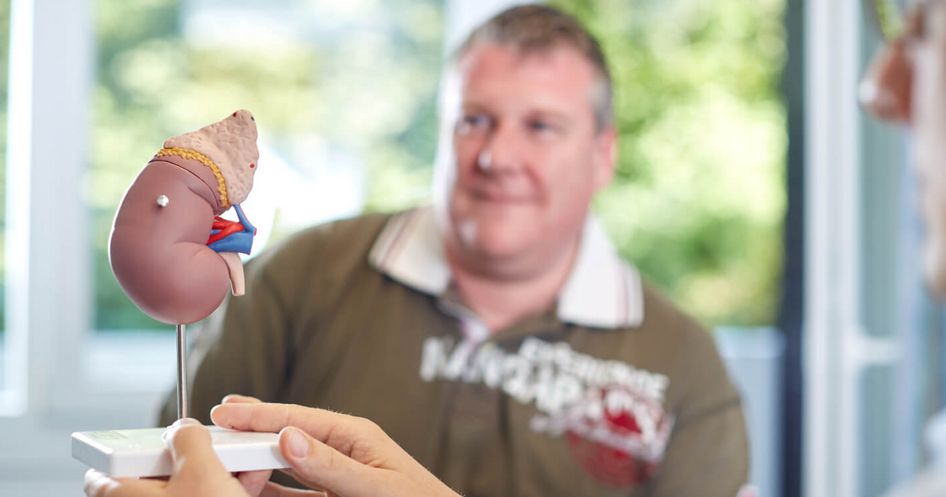 Nierenmodell Arzt Patient