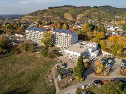 Thementag „Diabetes betrifft jede Familie“ am 14. November 2019