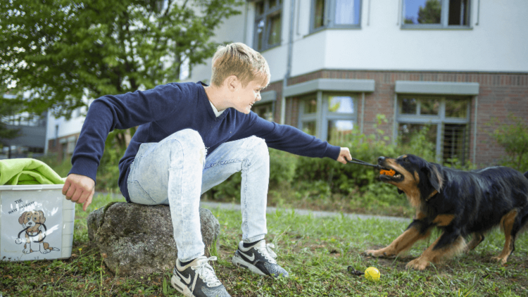 Therapiehund