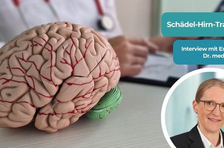 Dr. Petra Mummel und ein Modell eines Gehirns