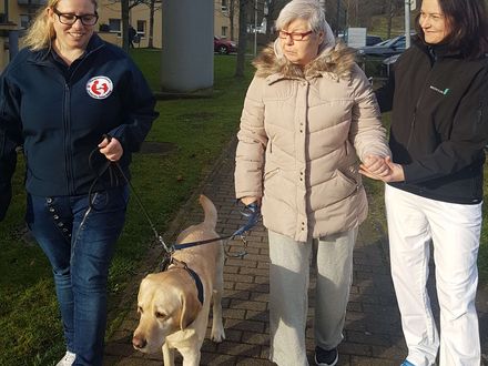 „Legolas“ – ein tierischer Begleiter für die Patienten