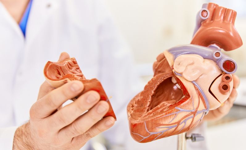 Katheterbasierte Aortenklappen-Implantationen (TAVI) der neuesten Generation