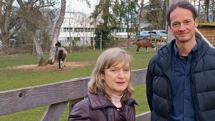 Therapie mit Lamas: Evidenzbasiert oder Modetrend?