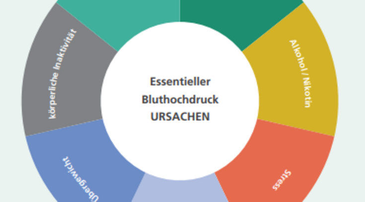 Übersichtsgraphik für Bluthochdruck Ursachen