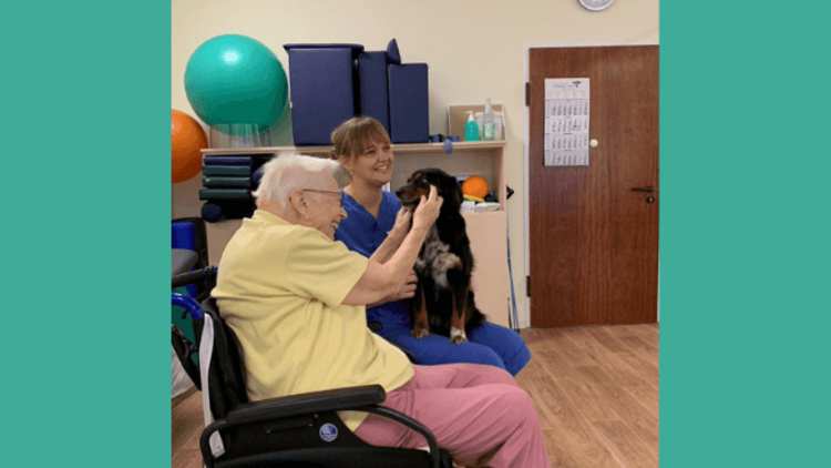 Tierische Therapiebegleiter