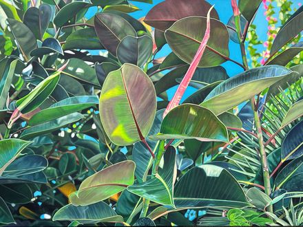 Ausstellung „Blattwerk“ im MEDICLIN Herzzentrum Lahr