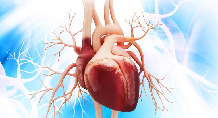 Herzmuskelentzündung – Ursachen, Symptome & Behandlung ǀ MEDICLIN