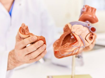 Schutz vor Herzstillstand