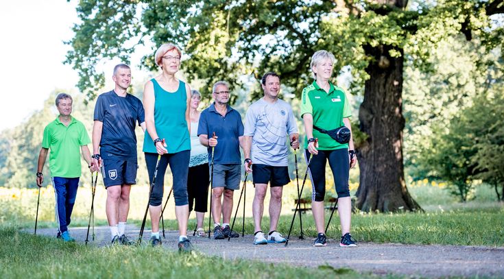 Herzsportgruppe beim Nordic Walking im Grünen.