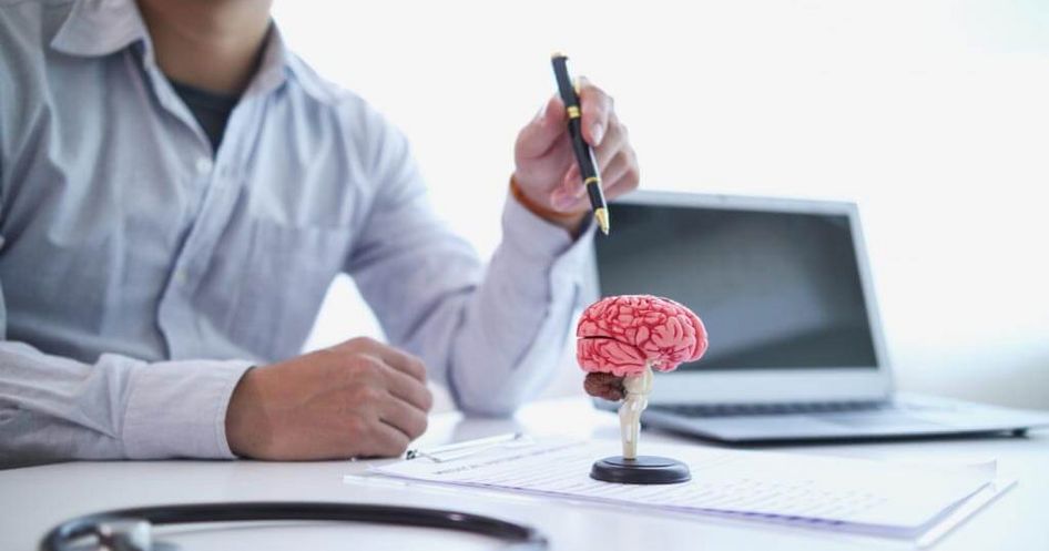 Arzt zeigt erklärend auf Modell eines Gehirns 