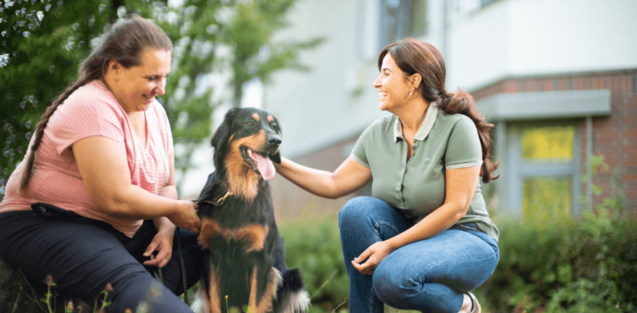 Reha mit Hund