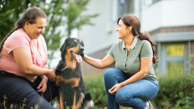 Therapiehund