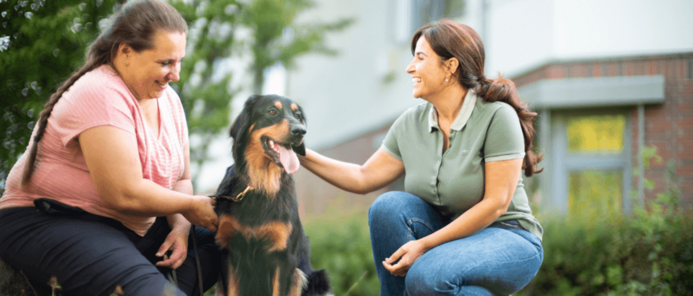 Therapiehund