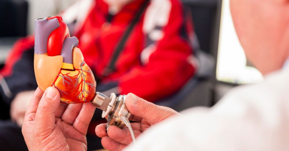 Arzt erklärt Herzschrittmacher am Herzmodell