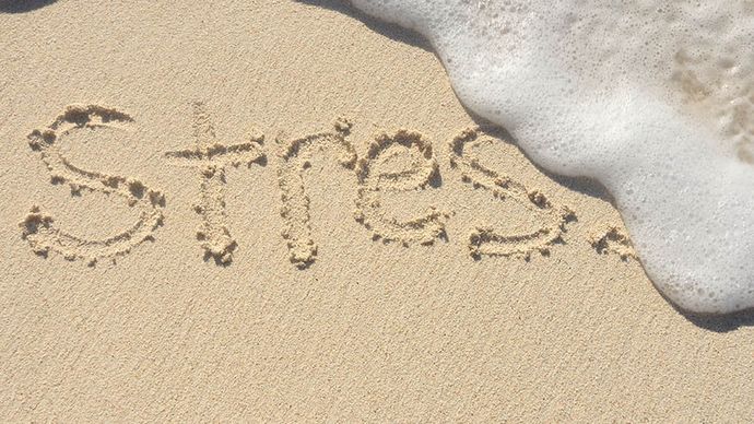 Stress
