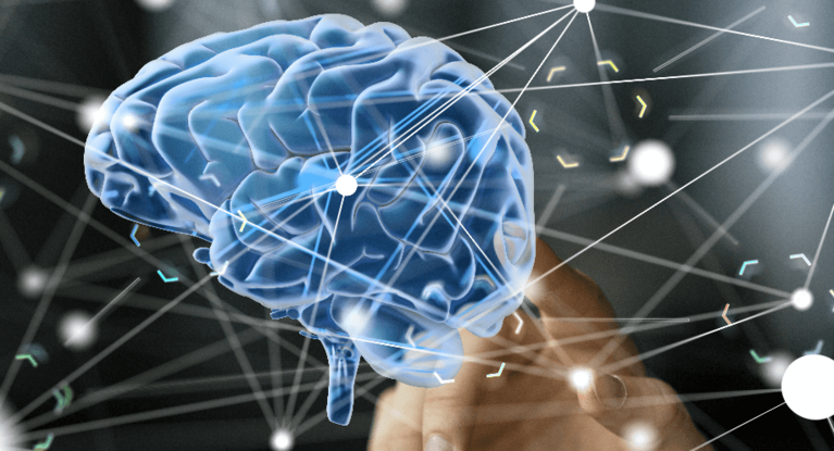 Computergrafik eines Gehirns