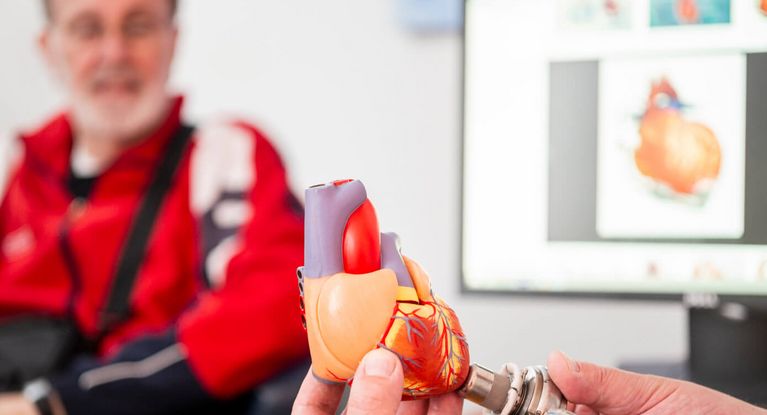 Arzt erklärt einem Patienten an einem Herzmodell,wie ein Herzschrittmacher funktioniert
